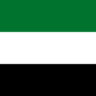 Drapeau_emirats_arabes_unis