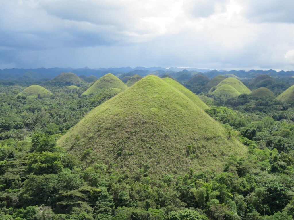 Paysage des collines de chocolat (la couleur devient brune pendant la saison sèche, d'où le nom de "collines de chocolat")