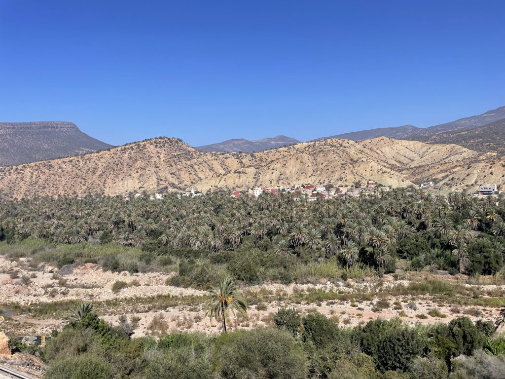 Ein üppiger Palmenhain am Fuße karger Berge mit einem Dorf mit roten Dächern im Souss-Hinterland Marokkos.