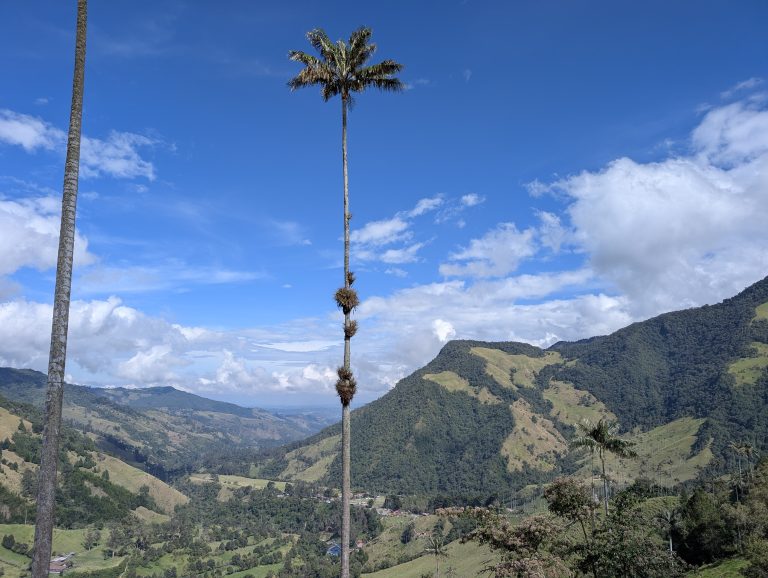 Guide eSIM Colombie : rester connecté de Bogotá à la vallée de Cocora (test réel)